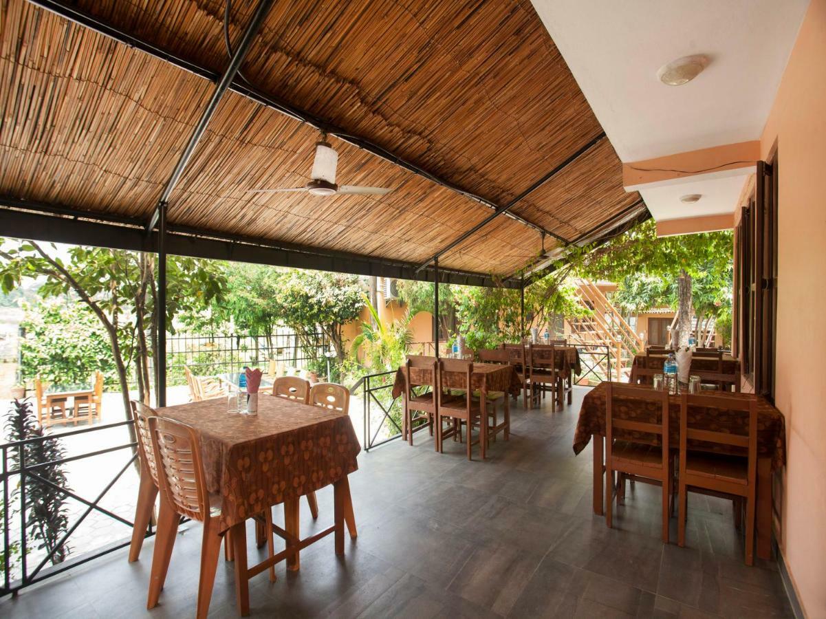 Spot On 486 Hotel Holy Lodge Sauraha Exterior foto