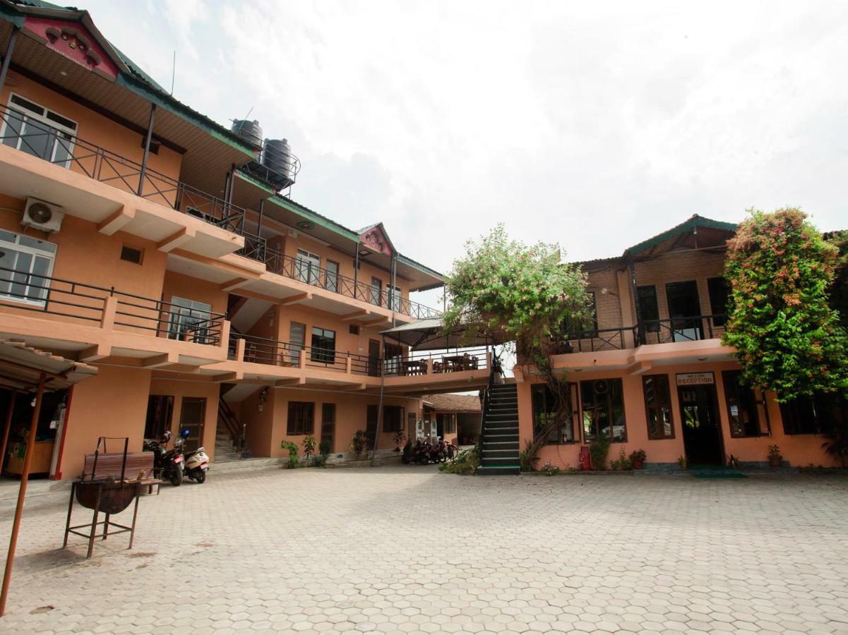 Spot On 486 Hotel Holy Lodge Sauraha Exterior foto
