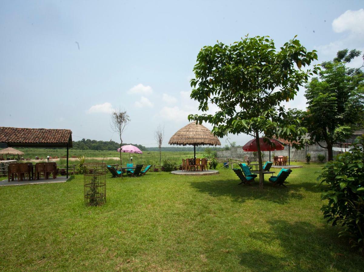 Spot On 486 Hotel Holy Lodge Sauraha Exterior foto