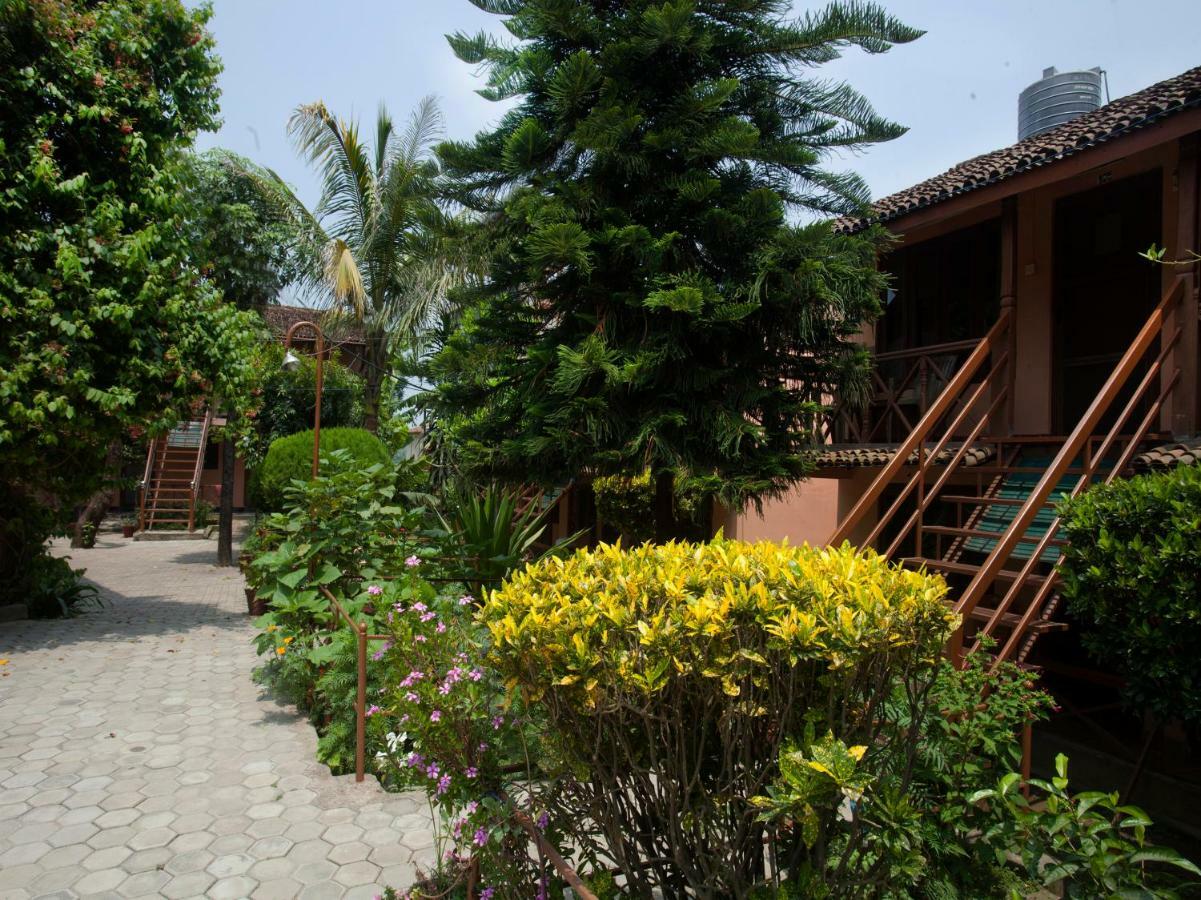 Spot On 486 Hotel Holy Lodge Sauraha Exterior foto