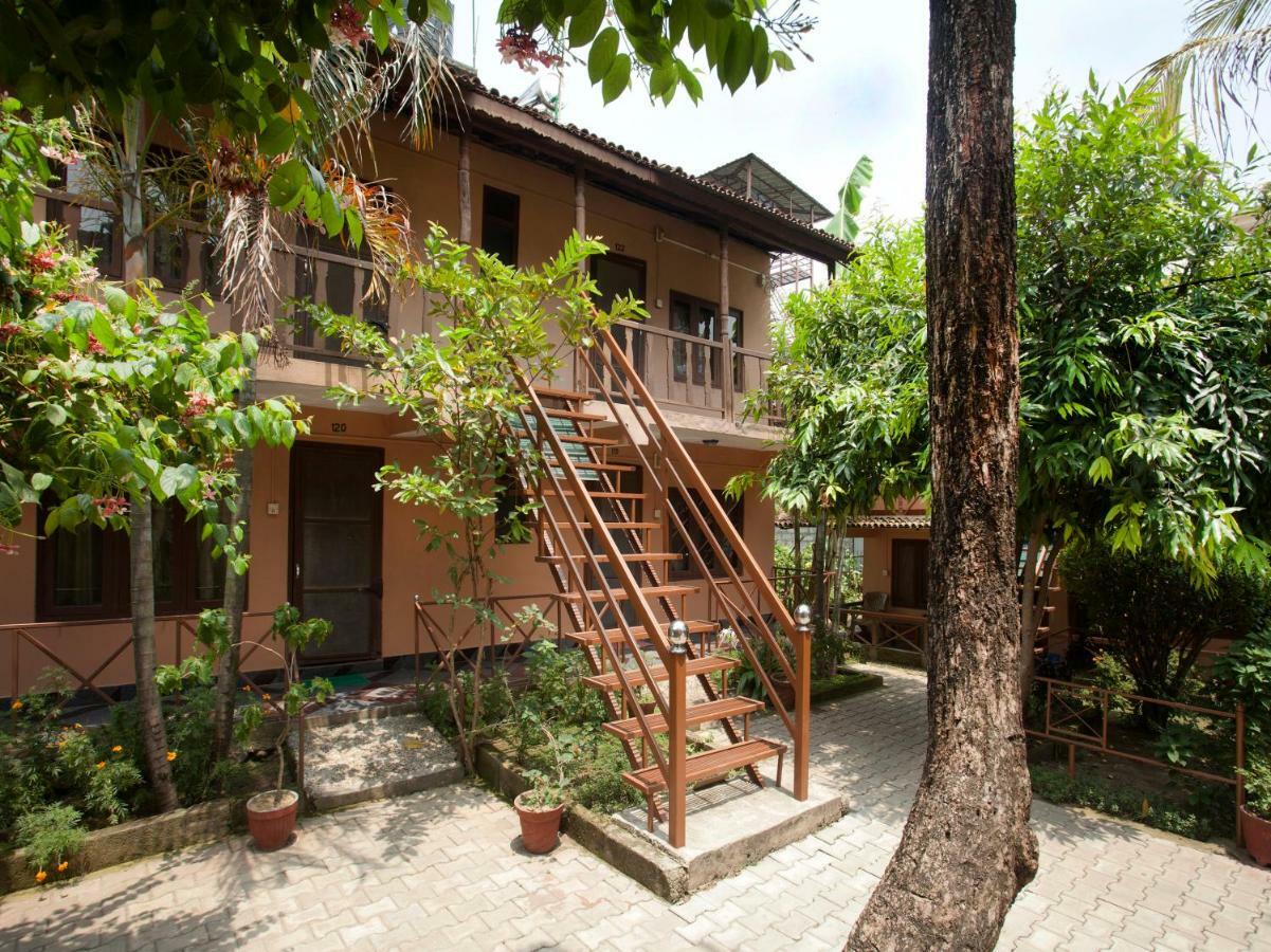 Spot On 486 Hotel Holy Lodge Sauraha Exterior foto