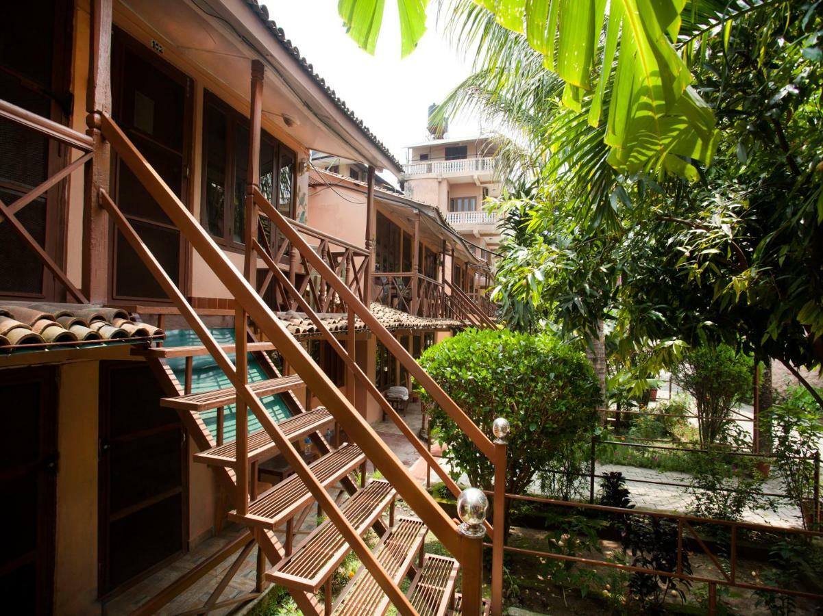Spot On 486 Hotel Holy Lodge Sauraha Exterior foto